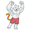 Cat Bodybuilder Bodybuilding Sport