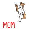 Foxterrier Drahthaar | Foxterrier