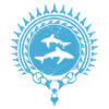 Longimanus Whitetip Shark