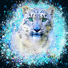 leopardo delle nevi, gatto, leopardo, giaguaro, bianco, graffiti
