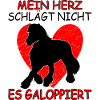 Islandpferd Islandpony Reiten Mädchen