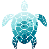 Tortue