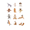 Dogs that love yoga