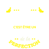 ARTHUR PARFAIT - NOM ARTHUR