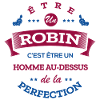 ROBIN PARFAIT - NOM ROBIN