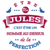 JULES PARFAIT - NOM JULES