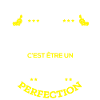 ROBIN PARFAIT - NOM ROBIN