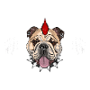 Bouledogue anglais