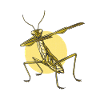Gottesanbeterin Dabbing Praying Mantis