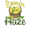 LEMON HAZE