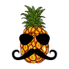 Hipster pineapple