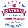 NATHAN PARFAIT - NOM NATHAN