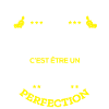LEON PARFAIT - NOM LEON