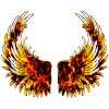 Angel-Wings-Angels-Wings-Little Angel-Wing-Fly