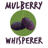 Mûres Murmures Cadeau