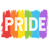 Pride Rainbow LGBT LGBTQ Flag