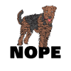 Airedale Terrier
