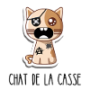 Chat de la casse