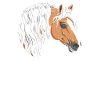 Cheval Haflinger Amour Cavalière Équestre