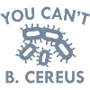 You Can't B. Cereus