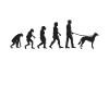 Saluki Evolution Persischer Windhund Geschenk