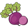 Beetroot