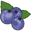 Blueberry Blueberry