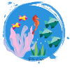 Meer