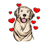 Golden Retriever | Golden Retriever