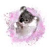 koala ,pink,graffiti,malerei,koala bär,rosa
