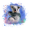 koala,blue,graffiti,painting,koala bear