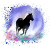 horse,haflinger, graffiti, painting, pink,Icelander