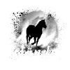horse,haflinger, graffiti, painting, grey,Icelander