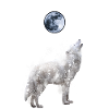 heulender Wolf Silhouette mit Mond