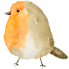 Rotkehlchen Aquarell