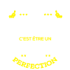 JEAN PARFAIT - NOM JEAN