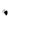 Future Martian