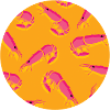 Crabs