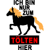 nur zum tölten hier