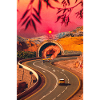 A Second Racer Appears
