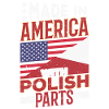 Polish Flag Polska