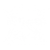 Roller derby