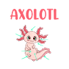 Anatomie axolotl d’un axolotl