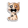 Chat de la casse
