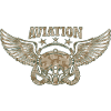 Army aviation