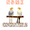 Nymphens perrsive Cockatiels Cockatiel