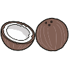 coconut