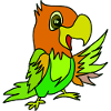 Papageien Farbwirbel