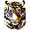 Tiger - Colourful Tiger - Tigazprint