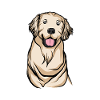 Golden Retriever | Golden Retriever